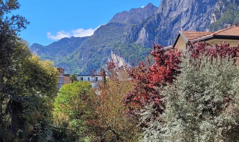 Green garden with majestic mountain view under a blue sky.